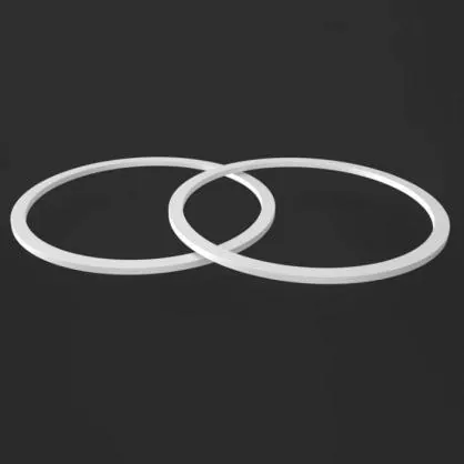 PTFE-steunring PTFE-steunring