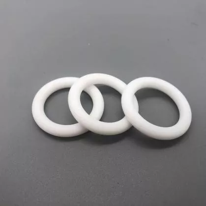 PTFE O-ring